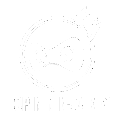 https://spinninjakey.com/cdn/shop/files/spin_ninja_key.png?v=1686851332&width=500